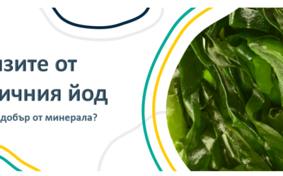 Ползите от органичния йод. Защо е по-добър от минерала?