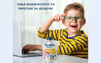 Келп за деца: как морските водорасли са полезни за вашето дете?